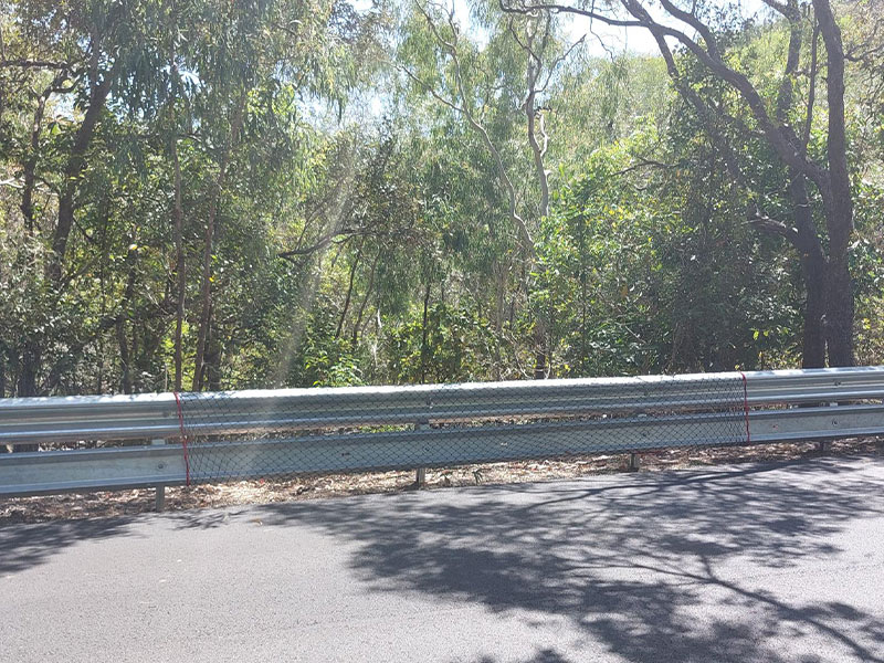 netting for koalas to climb over guard rails magnetic island